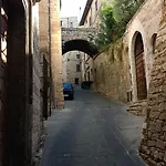 Calocci