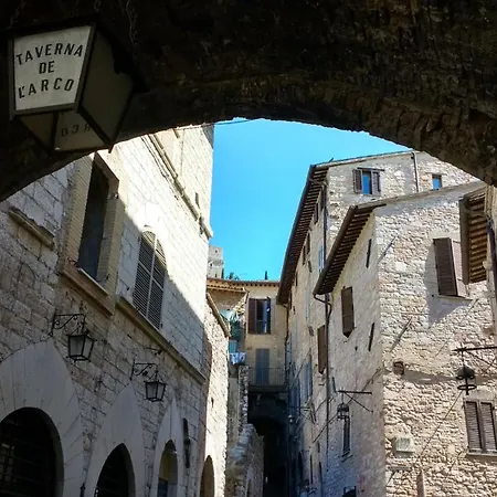 Calocci 2*