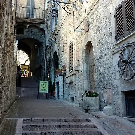 Calocci
